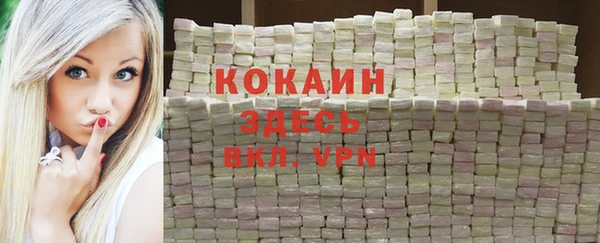 стафф Зерноград