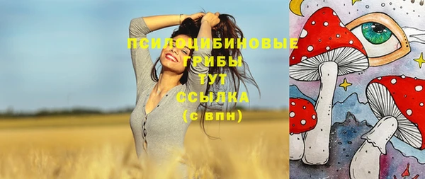 марки lsd Инта